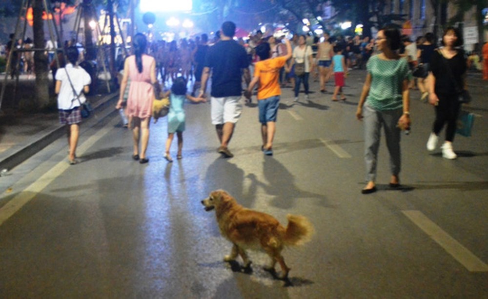 ha noi mo rong khong gian pho di bo phuc vu nguoi dan