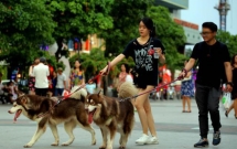 video nguoi dan noi gi ve duong di bo dai nhat ha noi ben song to lich
