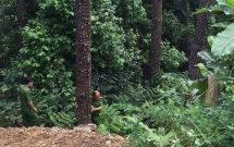 xe tai mat phanh lao vao le duong mot nguoi di bo tu vong