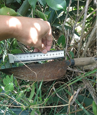 gia lai em trai no tien khong tra chi gai 21 tuoi bi nam thanh nien dam nguy kich khi dang ngu