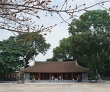 san lung loai chuot khong lo trong rung tay yen tu