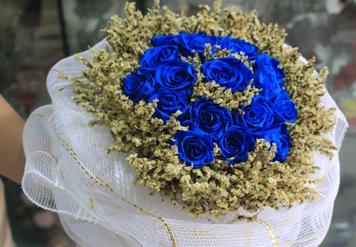 hoa hong cac loai duoc mua dip 2010