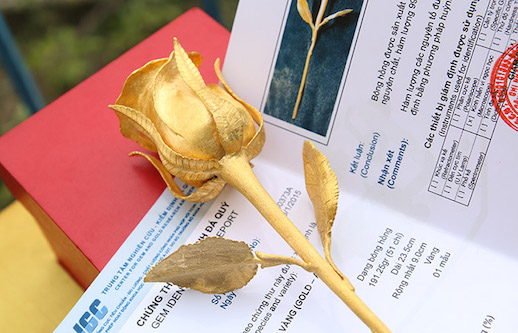 hoa hong cac loai duoc mua dip 2010