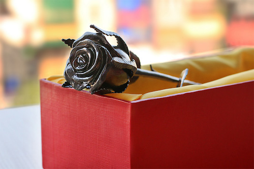 hoa hong cac loai duoc mua dip 2010