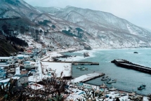 tim hieu ve dep nhat qua trien lam anh