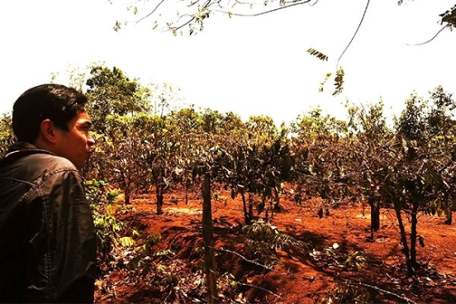 hon 2900 ho dan ngheo dak nong va dak lak duoc ho tro do anh huong han han