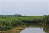 chia wwf viet nam mcnv ky thoa thuan hop tac hang chuc ti dong voi quang nam