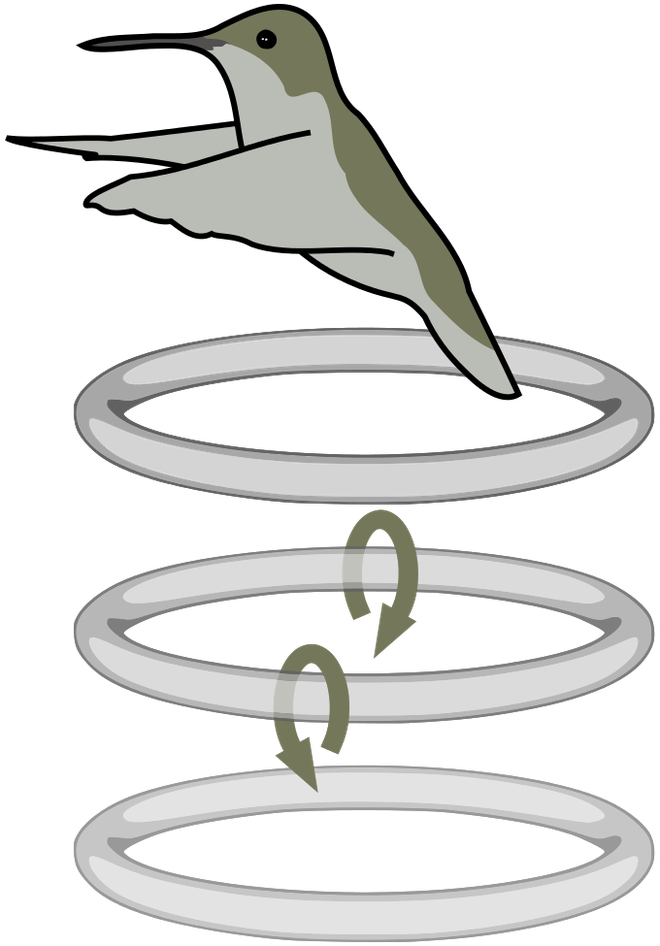 chim ruoi dap canh cuc ky nhanh lam sao de chup anh dep hay lang nghe loi khuyen cua nhiep anh gia nhat ban