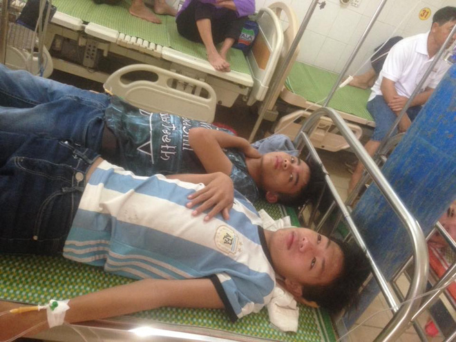 nhieu hoc sinh thpt o nghe an nhap vien vi hang nghin con ong tan cong tren duong den truong