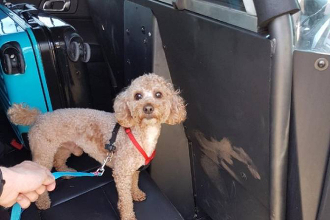 phat hien chiec vali dang ngo bi vut tren duong nguoi dan ong mo ra va hot hoang khi nhin thay thu ben trong