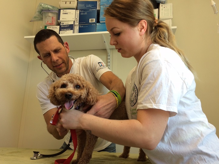 phat hien chiec vali dang ngo bi vut tren duong nguoi dan ong mo ra va hot hoang khi nhin thay thu ben trong