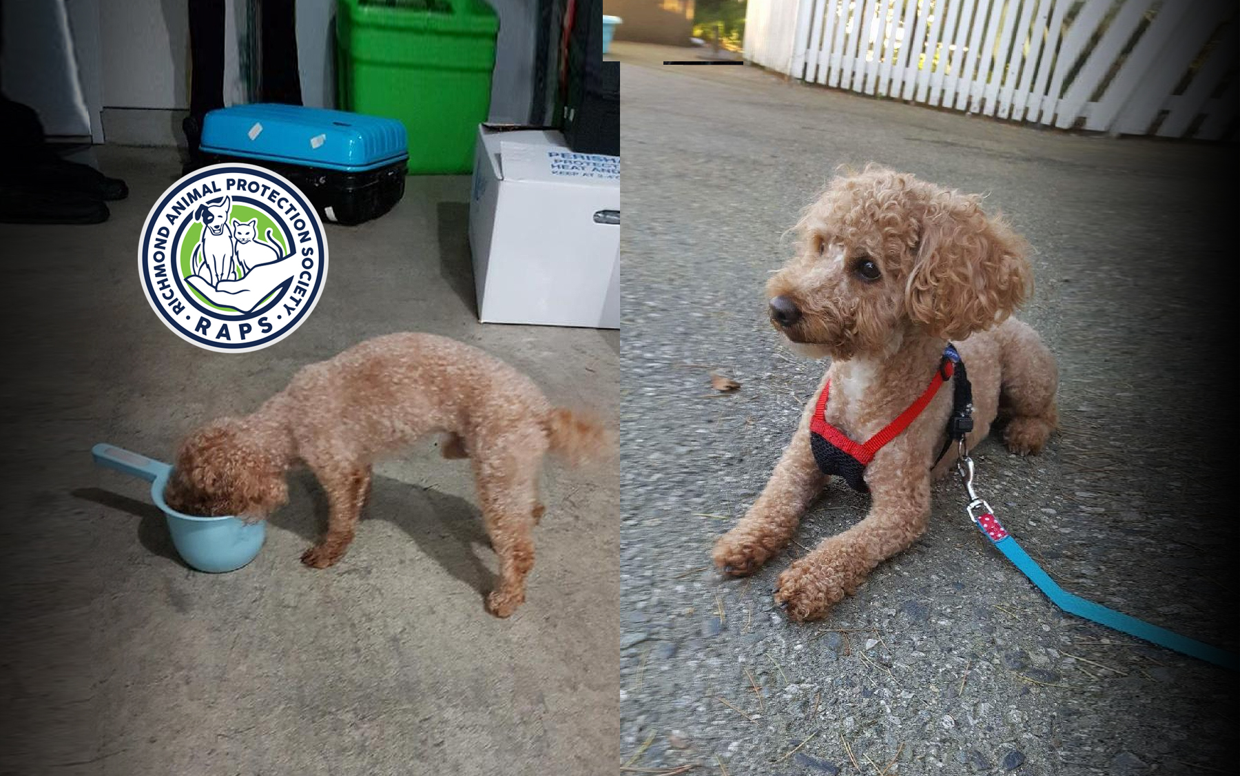 phat hien chiec vali dang ngo bi vut tren duong nguoi dan ong mo ra va hot hoang khi nhin thay thu ben trong