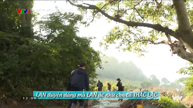 bo oi be xi trum khoc ngat vi nho bo nguyen hai phong nhin an chua phan cho con