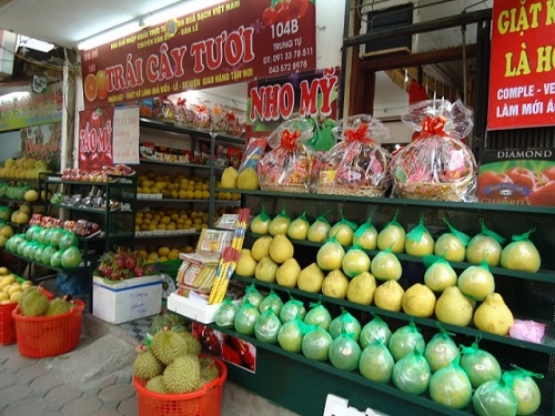 ha noi cap logo cho cua hang trai cay sach