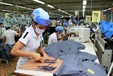 Chỉ 0,2% lao động phi chính thức được đóng bảo hiểm xã hội bắt buộc