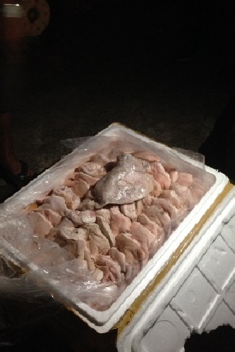 thanh hoa bat xe van chuyen 1 tan tai lon oi thiu khong co giay to hop le