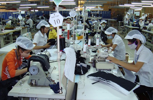cham co phan hoa dnnn vi dau ra nong noi