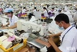 cham co phan hoa dnnn vi dau ra nong noi