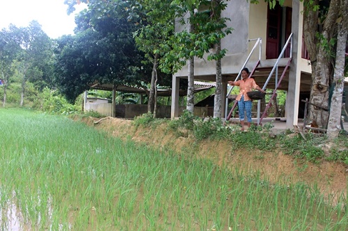 nhung mai am tham duom nghia tinh o ban rao tre