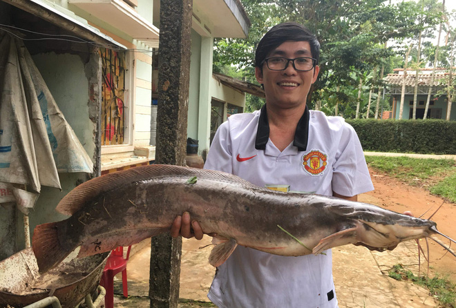 quang nam can thu bat duoc ca tre khung dai 1 met nhieu nguoi hoi mua gia cao nhung khong ban