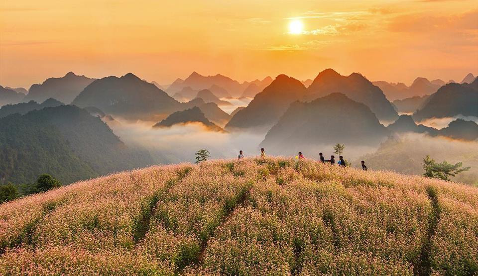 den ha giang ngam sac hong dip le hoi hoa tam giac mach