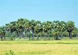 tp hcm danh tinh ke ngao da giet 3 nguoi than trong gia dinh minh
