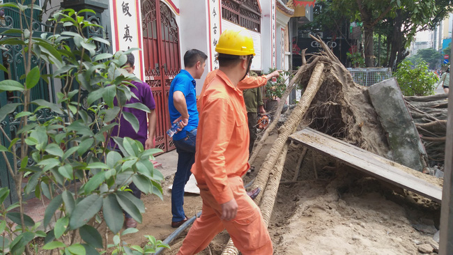 ha noi cay da co thu bat ngo do chan ngang duong tai xe thot tim khi thoat nan