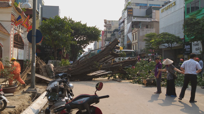 ha noi cay da co thu bat ngo do chan ngang duong tai xe thot tim khi thoat nan