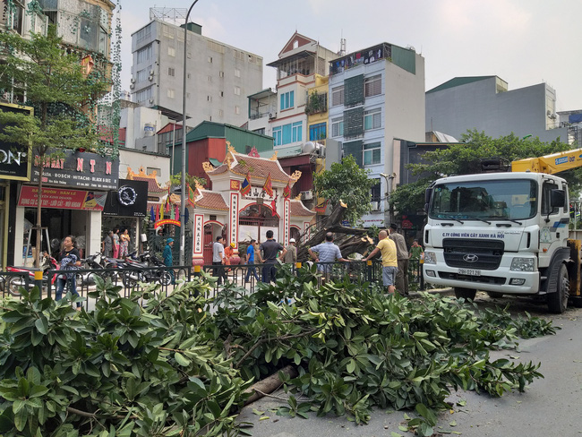 ha noi cay da co thu bat ngo do chan ngang duong tai xe thot tim khi thoat nan