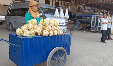 chuyen nhoc nhan muu sinh cua nhung nguoi phu nu xa xu o dat nuoc trieu voi