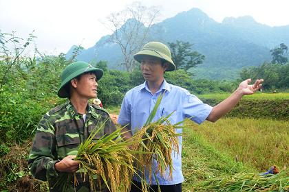 linh bien phong giup dong bao ruc thu hoach lua moi