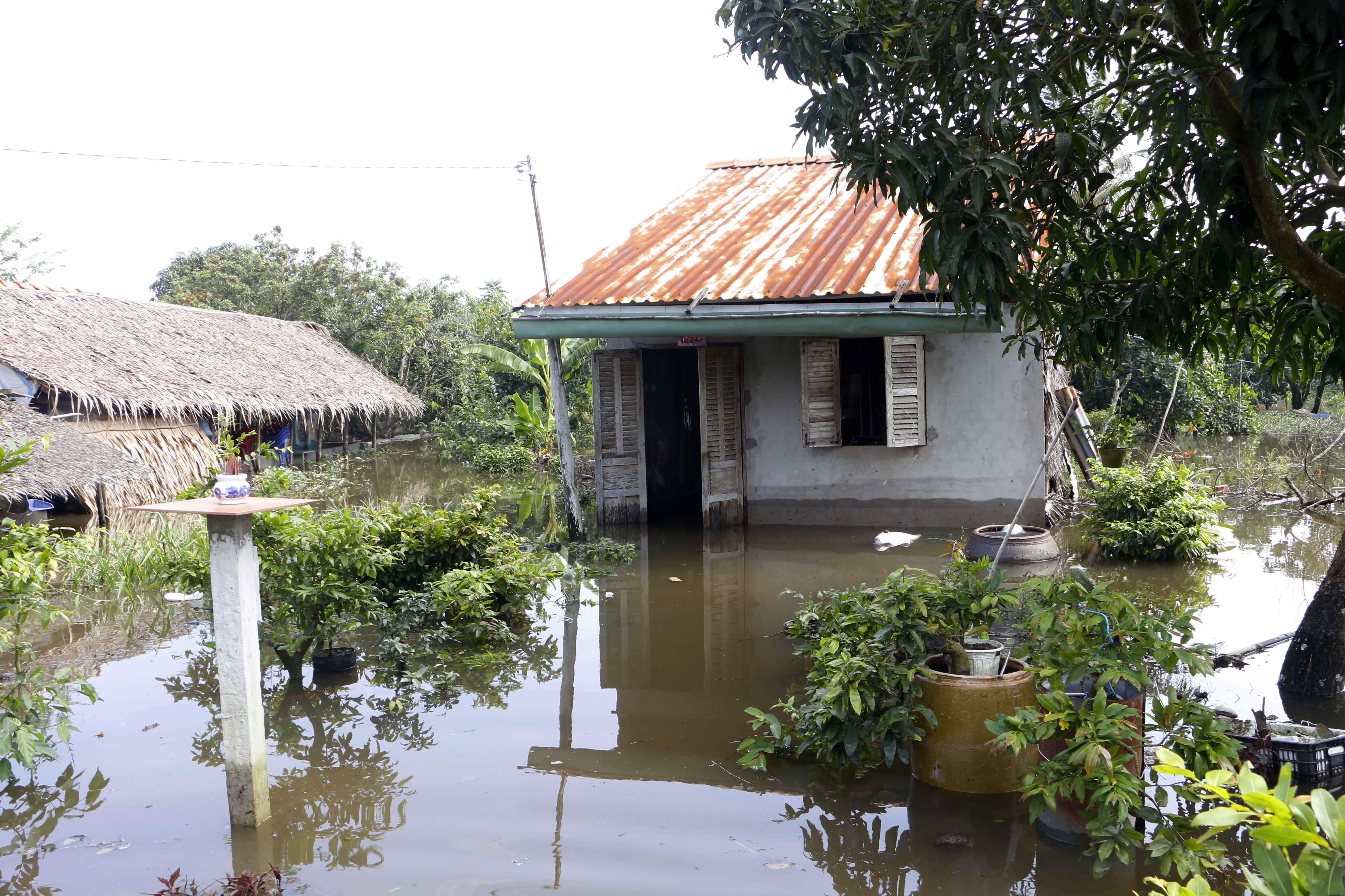 trieu cuong dang cao anh huong den nhieu dia phuong o dbscl