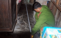 thanh nien 16 tuoi dam cu ba trong thuong cuop 503000 dong de mua 1 goi mi tom roi dua ve cho me