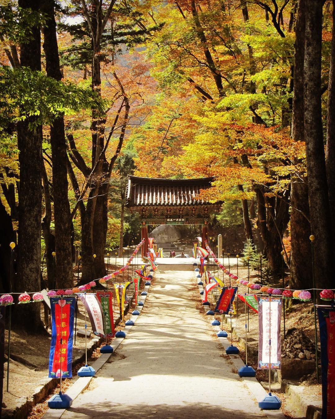 mua la do tuyet dep dip thu han quoc