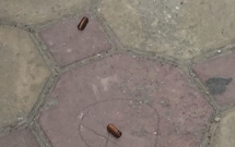 thieu uy bien phong no sung ak vao nhieu dong doi da tu sat mot don pho tu vong