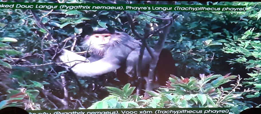 khu du lich sinh thai bach ma se thanh diem du lich hap dan nhat mien trung