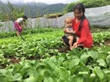 hki nang cao nhan thuc bao v e mat cho hoc sinh 31 truong tieu hoc huyen hai hau nam dinh