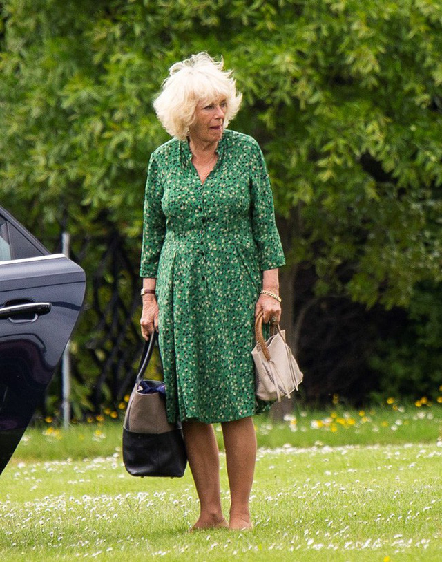 moi tinh 48 nam day thi phi cua thai tu charles va ba camilla tuong vien man nhung lai co ket cuc cay dang khong ngo