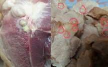 cho toi hoi phu huynh co ai vao duoc khu bep truong mam non chua
