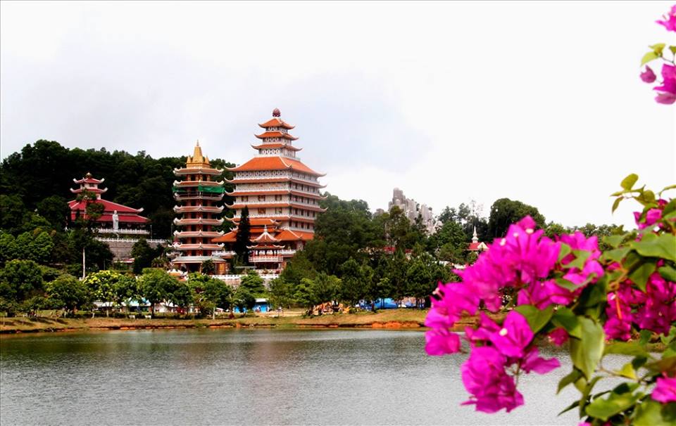 boi hoi dao dinh thien cam son