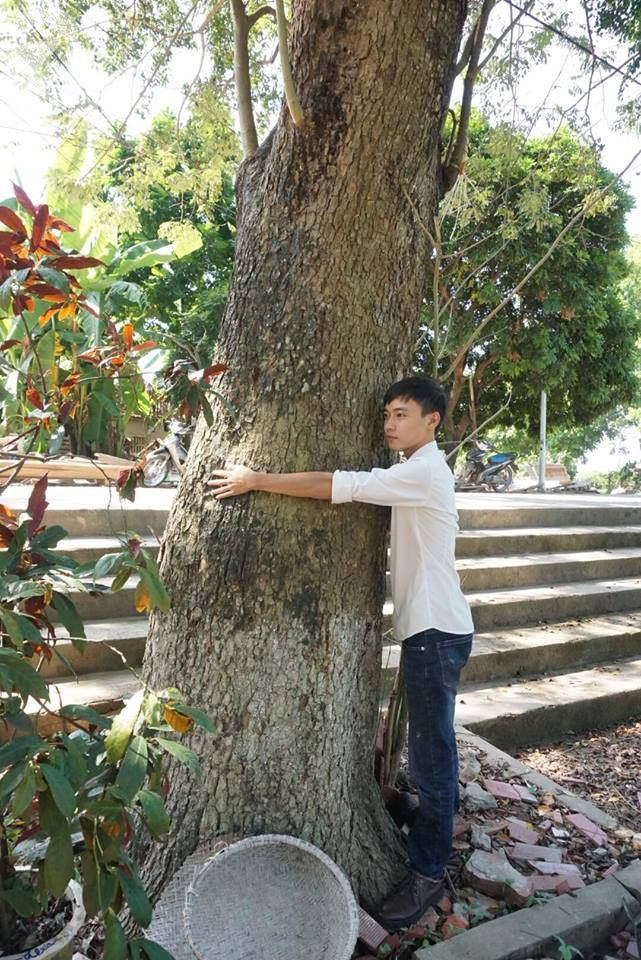 ha noi cong an truc chien ngay dem bao ve 3 cay sua hon 100 nam tuoi tri gia hang tram ty dong