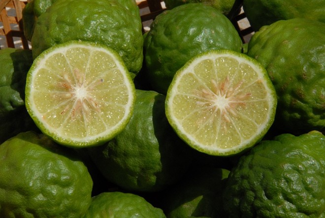 nguyen long huy va giac mo cay chuc phu xanh vung bay nui