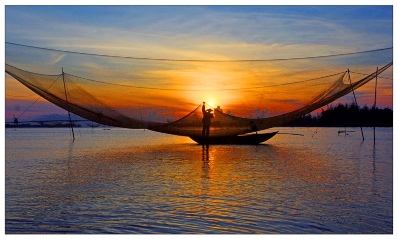 viet nam day mau sac qua trien lam anh huong sac tram mien