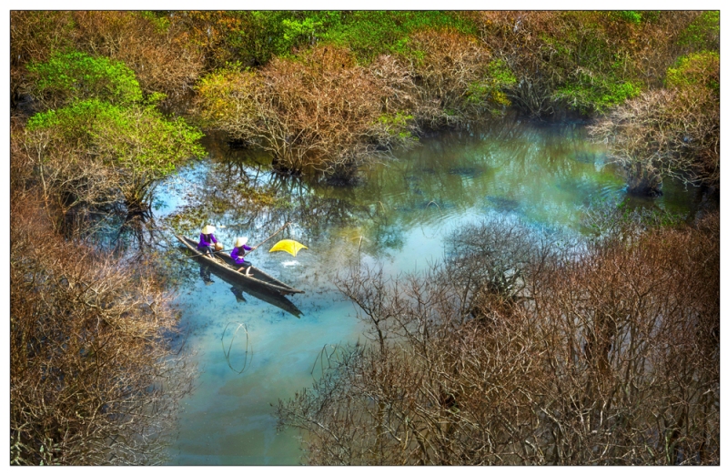 viet nam day mau sac qua trien lam anh huong sac tram mien