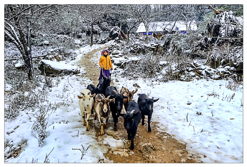 viet nam day mau sac qua trien lam anh huong sac tram mien