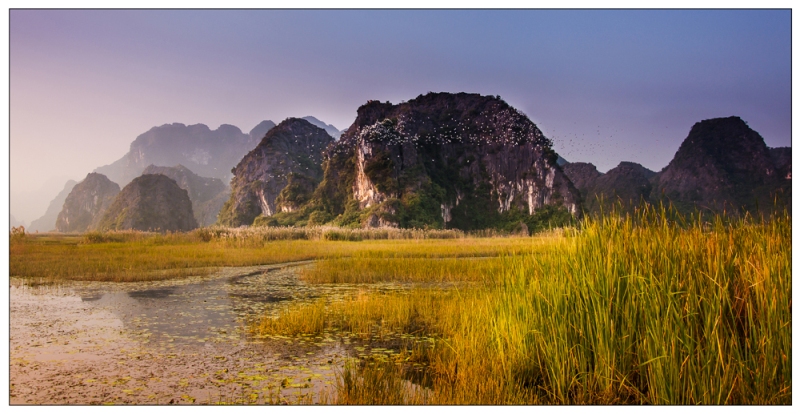 viet nam day mau sac qua trien lam anh huong sac tram mien