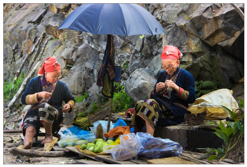 viet nam day mau sac qua trien lam anh huong sac tram mien