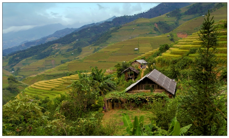 viet nam day mau sac qua trien lam anh huong sac tram mien