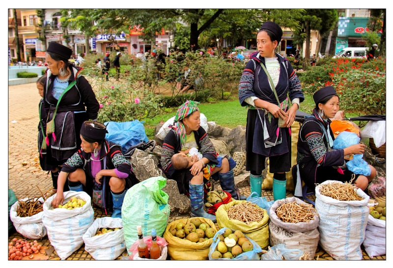 viet nam day mau sac qua trien lam anh huong sac tram mien