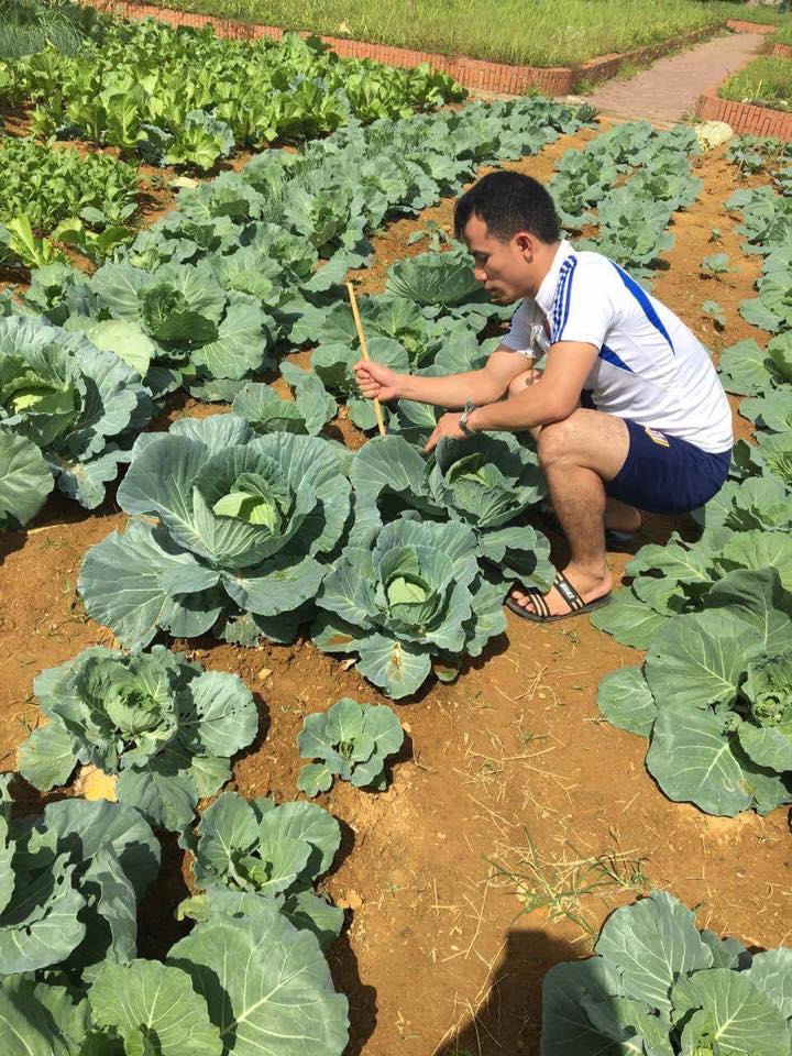 lien hiep cac to chuc huu nghi lai chau tham va tang qua cho du hoc sinh lao bi tai nan